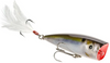 Topwater