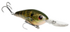 Hard Baits