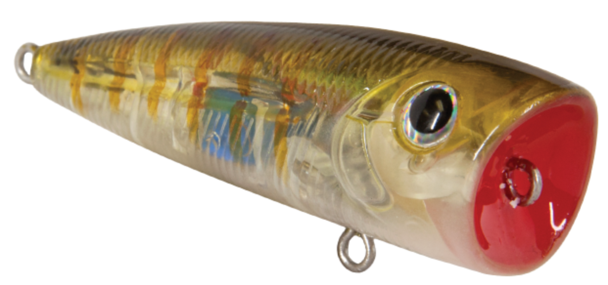 Livingston Lures Walk N Pop 67 Livingston Lures Walk N Pop 67