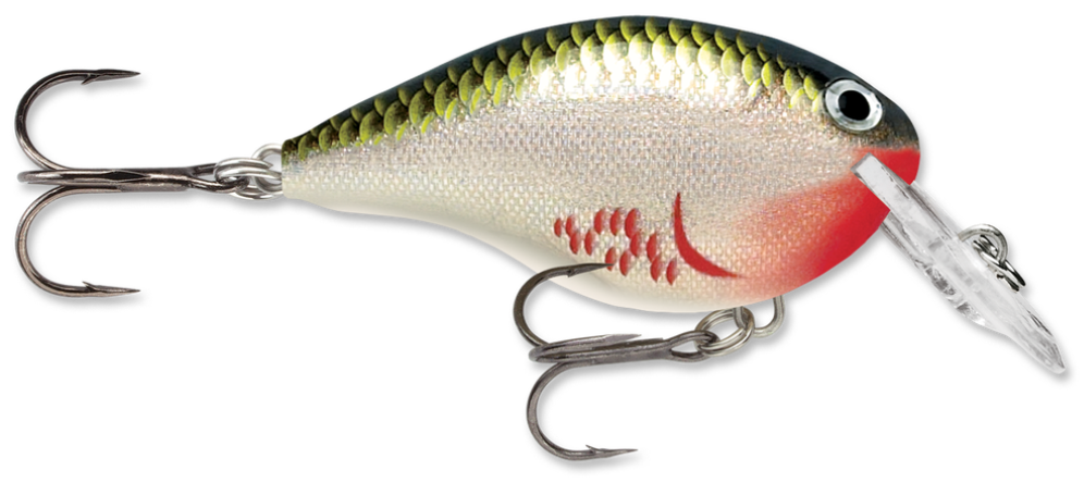 Rapala DT (Dives-To) Series Hot Mustard