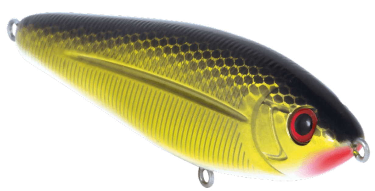 School Master Beauty Shad